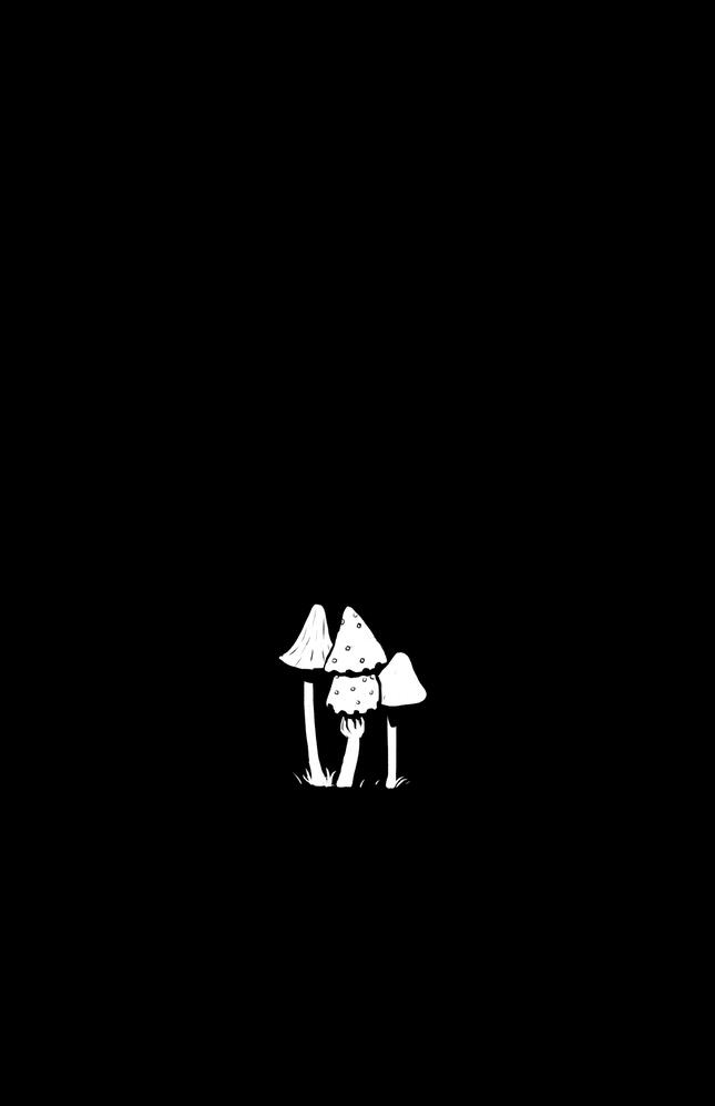 backcover
